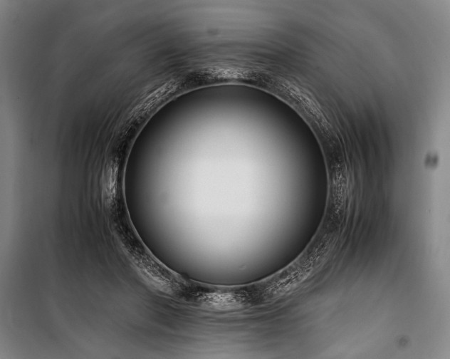 X0000101190406200806271320