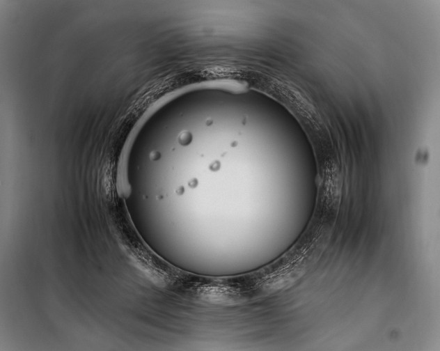 X0000101190408200806271320