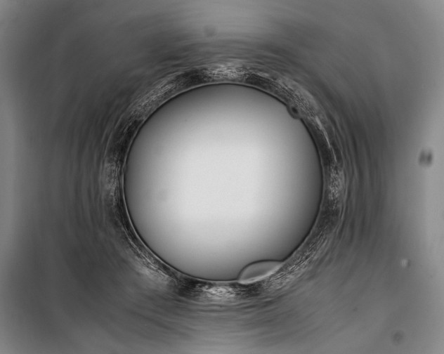 X0000101190409200806271320