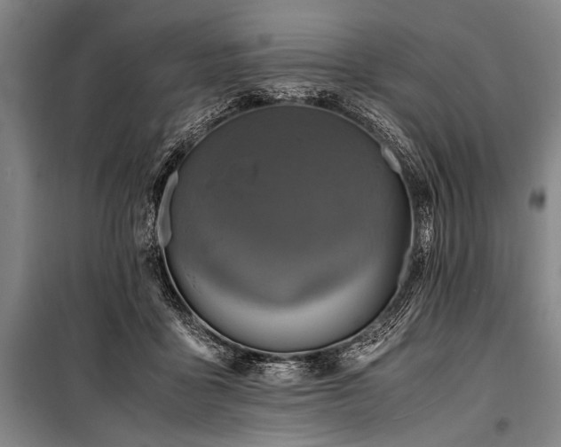 X0000101190411200806271320