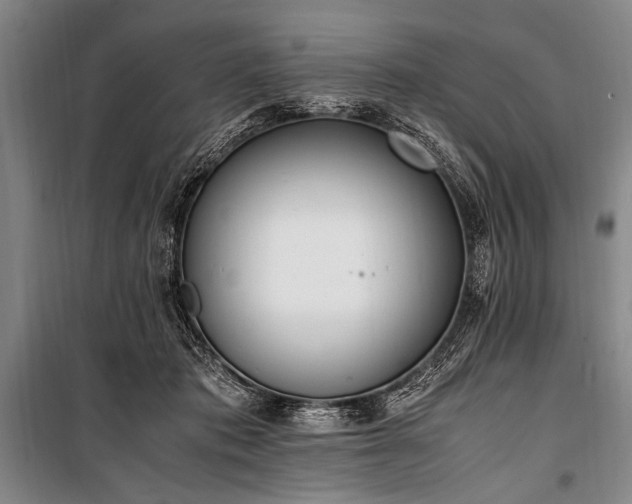 X0000101190413200806271320