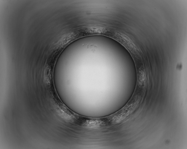 X0000101190414200806271320
