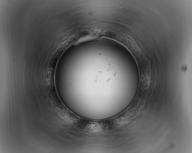 X0000101190416200806271320