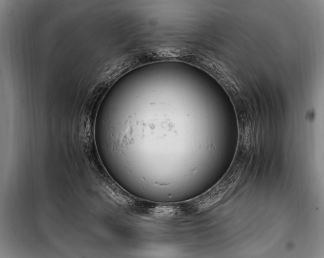 X0000101190418200806271320