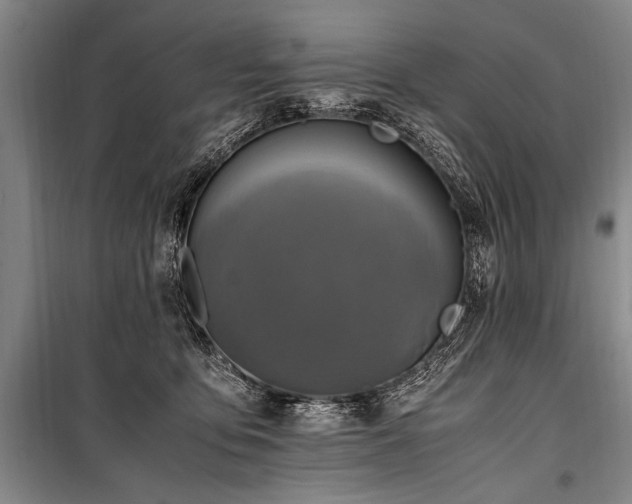 X0000101190419200806271320