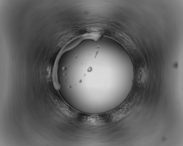 X0000101190420200806271320