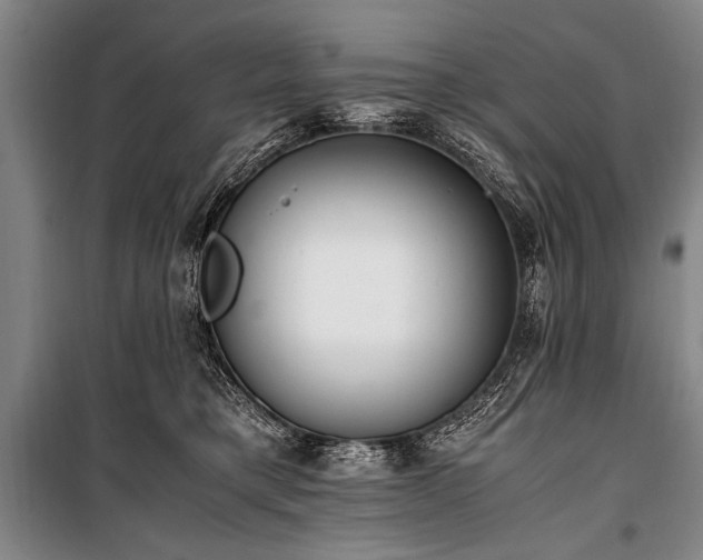 X0000101190421200806271320