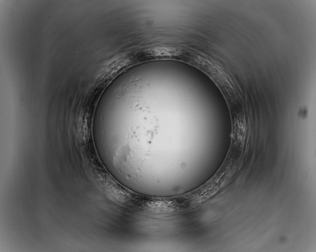 X0000101190422200806271320