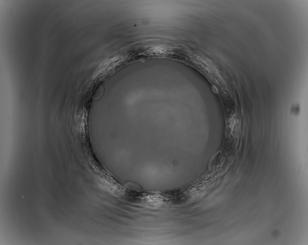 X0000101190423200806271320