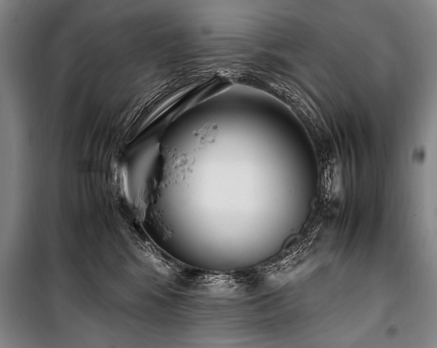 X0000101190424200806271320