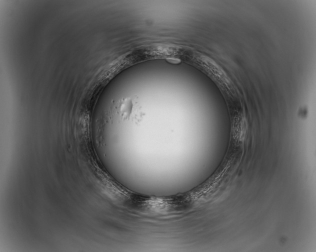 X0000101190425200806271320