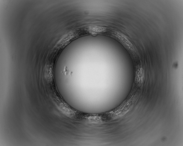 X0000101190426200806271320