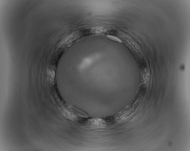 X0000101190427200806271320