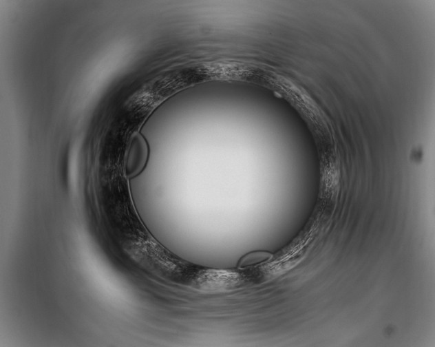 X0000101190429200806271320