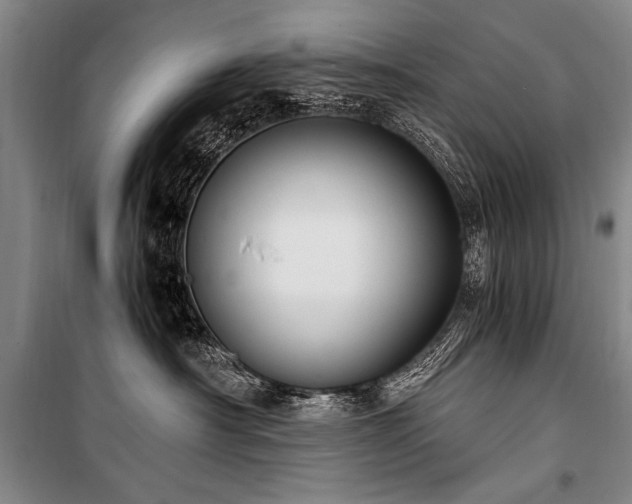 X0000101190430200806271320