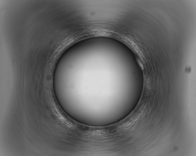 X0000101190433200806271319