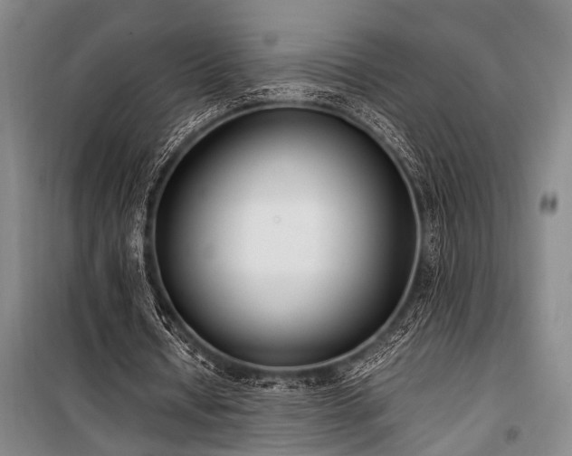 X0000101190434200806271319