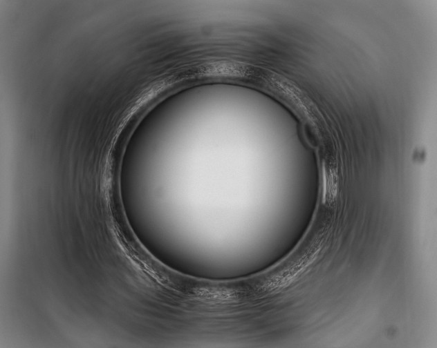X0000101190435200806271319