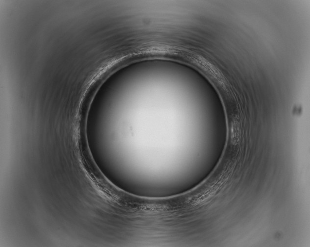 X0000101190436200806271319