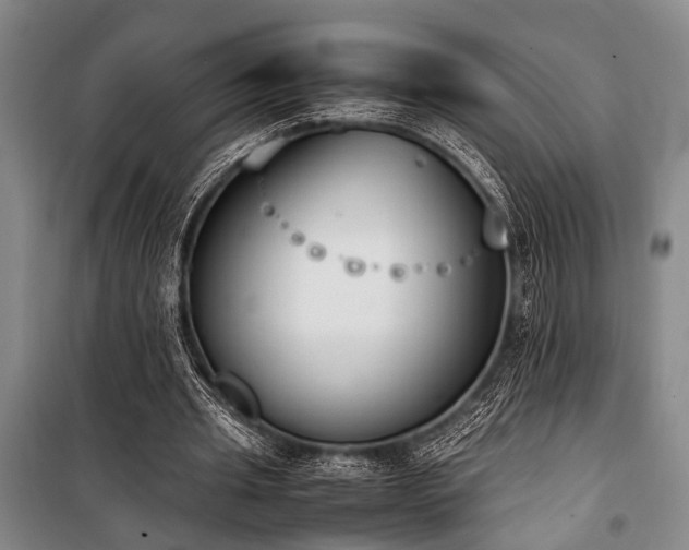 X0000101190437200806271319