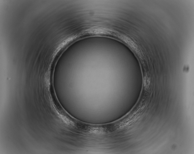 X0000101190438200806271319