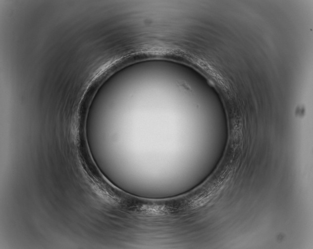 X0000101190440200806271319