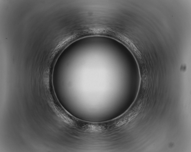 X0000101190442200806271320