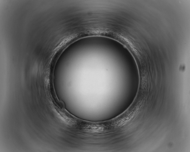 X0000101190443200806271320