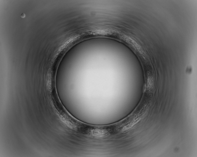 X0000101190444200806271320