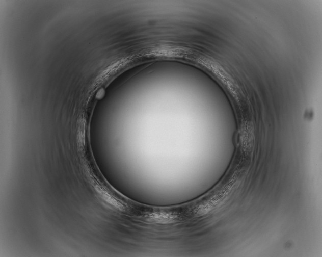 X0000101190445200806271320