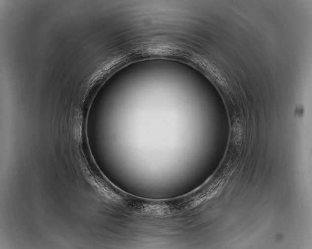 X0000101190446200806271320
