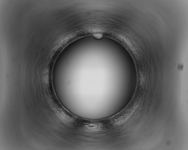 X0000101190447200806271320