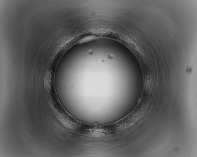 X0000101190448200806271320