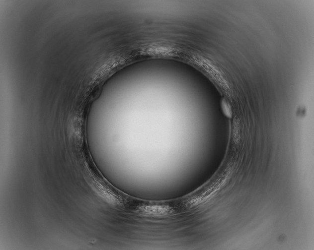 X0000101190449200806271320
