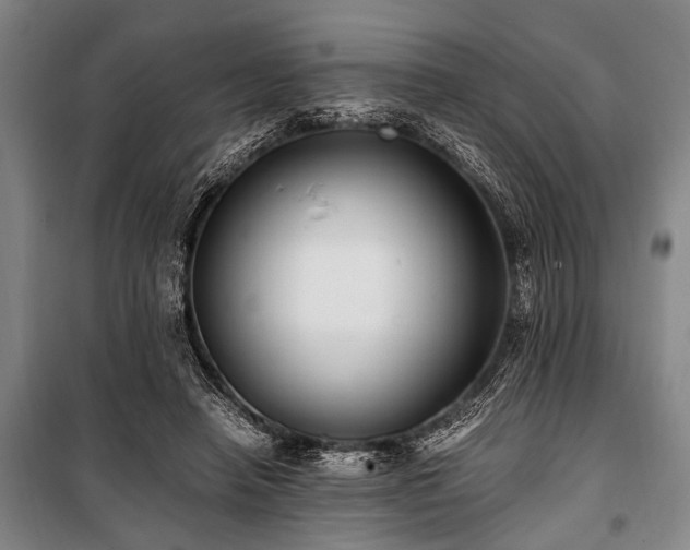 X0000101190450200806271320