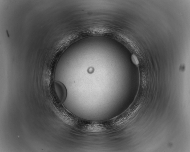 X0000101190451200806271320
