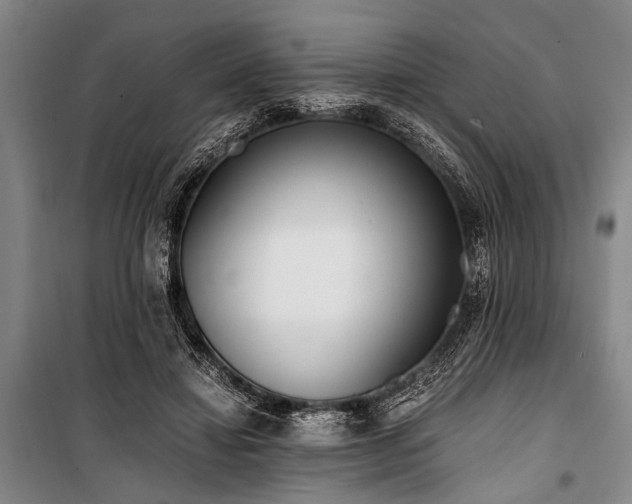 X0000101190452200806271320