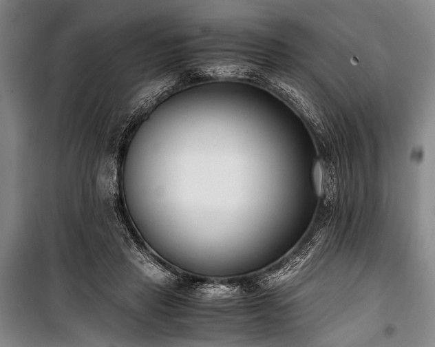 X0000101190453200806271320
