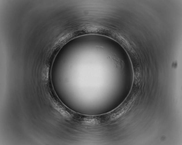 X0000101190454200806271320