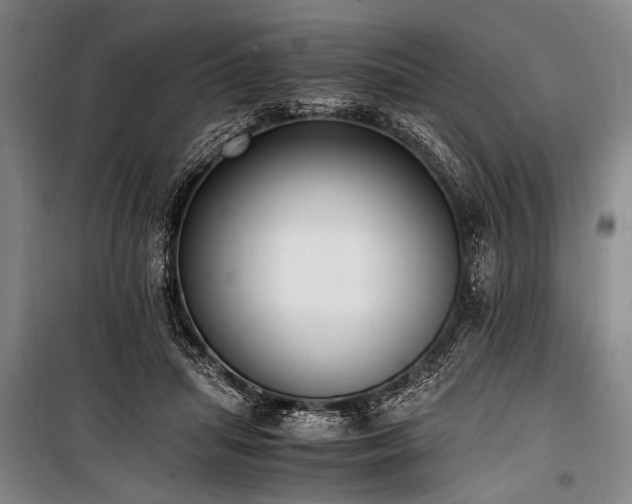 X0000101190455200806271320
