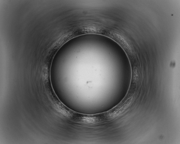 X0000101190457200806271320