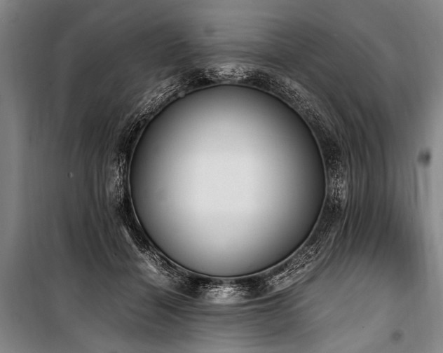 X0000101190460200806271320