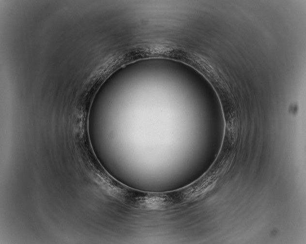 X0000101190462200806271320