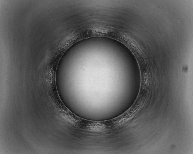 X0000101190463200806271320