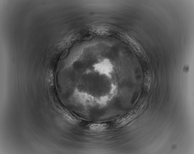 X0000101190465200806271320