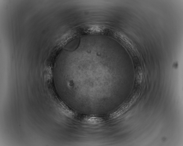 X0000101190467200806271320