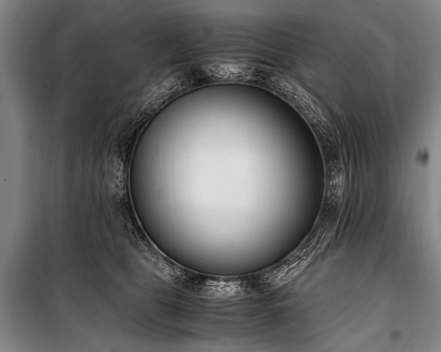 X0000101190469200806271320