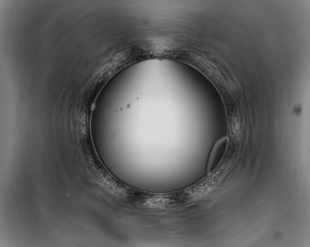 X0000101190470200806271320