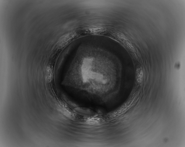 X0000101190471200806271320