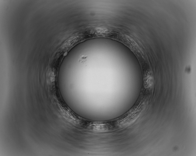 X0000101190472200806271320